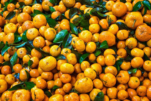 2月柑橘种植管理怎么做？